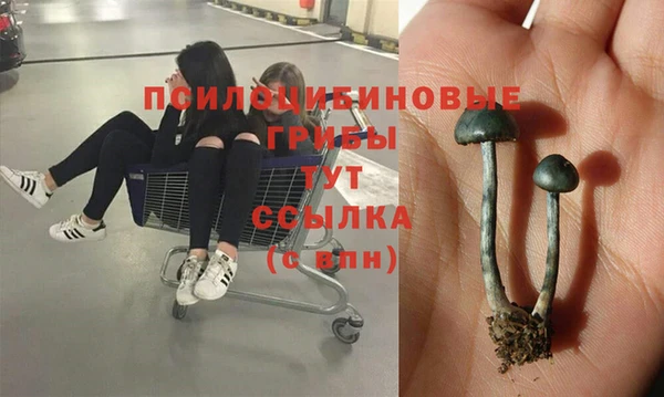 кокаин колумбия Балабаново