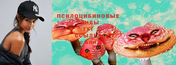 ГАЛЛЮЦИНОГЕННЫЕ ГРИБЫ Армянск