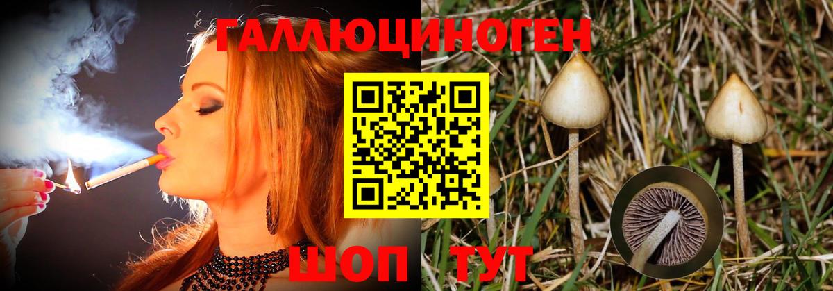 купить наркотики цена  Галлюциногенные грибы MAGIC MUSHROOMS  Вход с VPN  Сунжа 